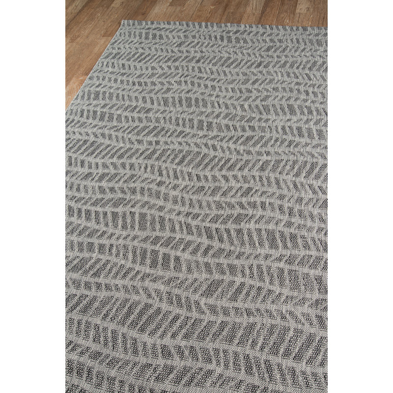 Emilia Gray Indoor/Outdoor Area Rug & Reviews AllModern